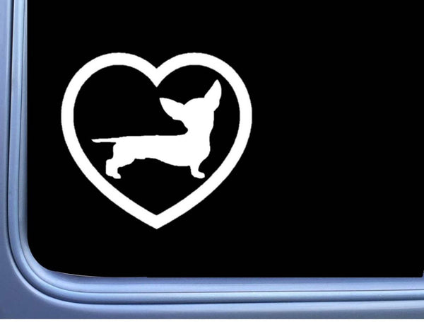Chiweenie Big Heart J809 6 inch Sticker dachshund chihuahua dog decal