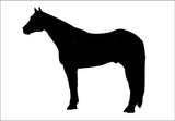 2 LARGE 12.5"  QUARTER HORSE STICKERS MIRRORED BARREL RODEO DECAL HORSE *C828*