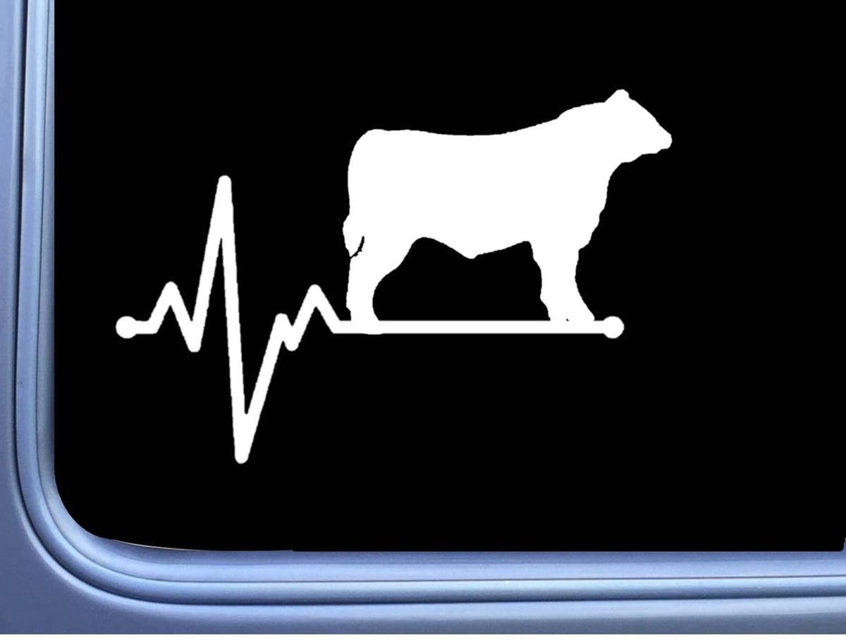 Angus Lifeline Bull Vinyl Decal – 6 Inch