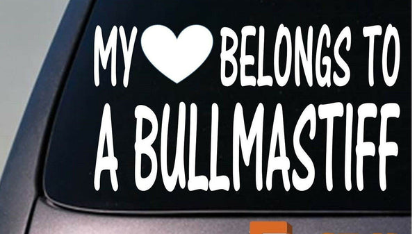 My heart belongs to a Bullmastiff sticker decal *D965*