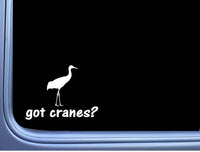 got Sandhill Crane Lifeline L971 6" Sticker decal bird watcher heron farm pond