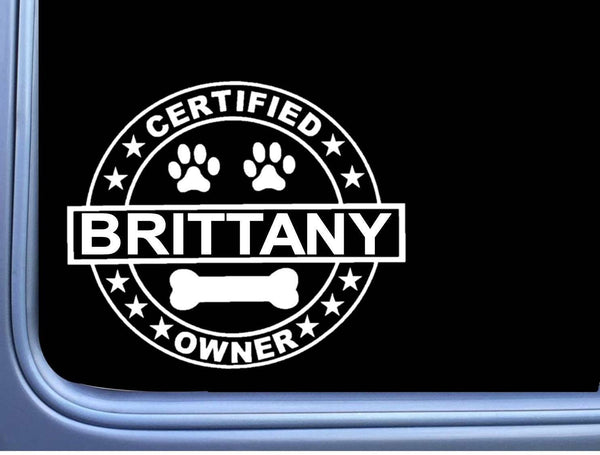 Certified Brittany Spaniel L280 Dog Sticker 6" decal