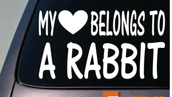 My heart belongs to a Rabbit sticker decal *D941*