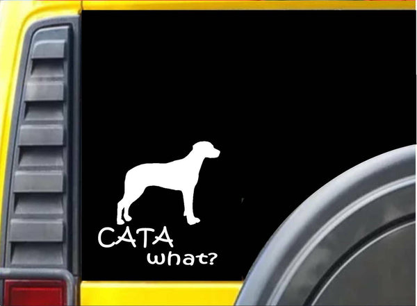 Catahoula What K446 6 inch Sticker Louisiana Catahoula dog decal