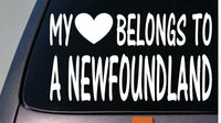 My heart belongs to a Newfoundland sticker decal *D915*