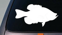 Crappie 6" sticker decal ultra light bait fishing rod reel lure *D691*