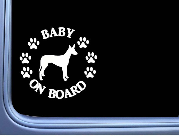 Baby on Board Pharaoh L470 6" dog Sticker decal