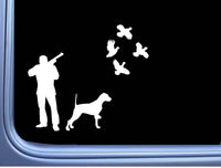 English Pointer 4 Quail M307 8 inch hunting dog decal