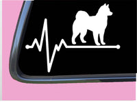 Klee Kai lifeline TP 569 vinyl 8" Decal Sticker dog breed alaskan husky kennel