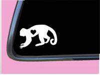 Capuchin Monkey Lil Heart TP 723 vinyl 6" Decal Sticker spider old world toys