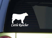 Cattle Rancher *I929* 6 inch Sticker angus decal