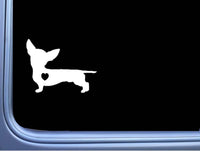 Chiweenie lil heart J806 6 inch Sticker dachshund chihuahua dog decal