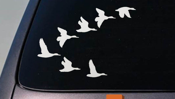 Flying Ducks Vinyl Truck 8" sticker Decal Landing Quack Hunting MALLARD  *D689*