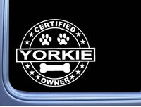 Certified Yorkie L322 Dog Sticker 6" decal