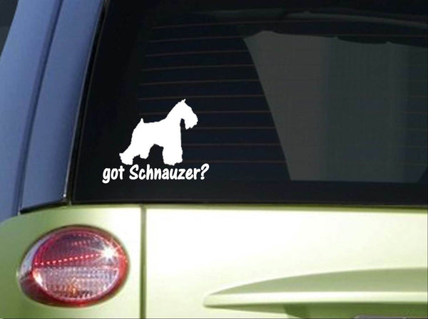 got Schnauzer *I768* 6 inch Sticker dog decal