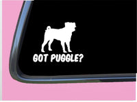 Got Puggle TP 581 vinyl 6" Decal Sticker dog beagle pug designer breed