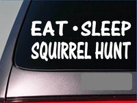 Eat Sleep Squirrel hunt Sticker *H14* 8" vinyl mt. cur coonhound feist fiest dog