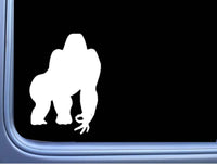 Gorilla Circle Game M288 6 inch Sticker silver back harambe