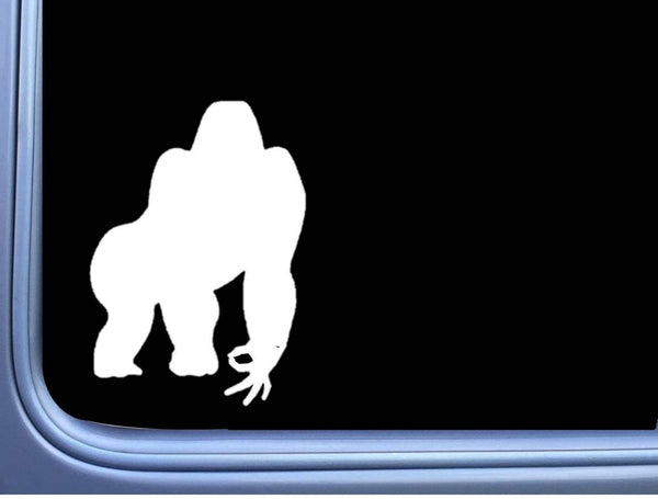 Gorilla Circle Game M288 6 inch Sticker silver back harambe