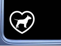 Bull Terrier Big Heart M326 6 inch Sticker Decal dog