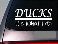 Ducks sticker decal *E270* duck hunting duck blind shell shotgun camo boat lab