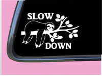 Slow Down Sloth TP 650 Sticker 8" Decal animals gifts stuffed tshirt