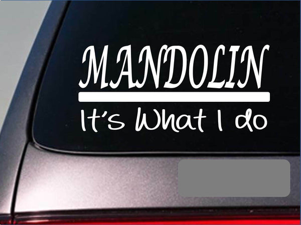 Mandolin sticker decal *E341* pick guitar bluegrass gospel mountain festival