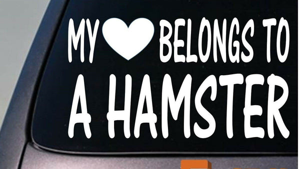 My heart belongs to a Hamster sticker decal *D942*