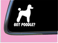 Got Poodle Pet cut TP 577 vinyl 6" Decal Sticker dog groomer labradoodle