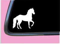 Paso Fino Horse plain TP 595 6" Decal Sticker saddle horseshoe tack accessories