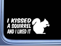 I Kissed a Squirrel Decal M126 8 Inch Sticker car laptop feeder treats love