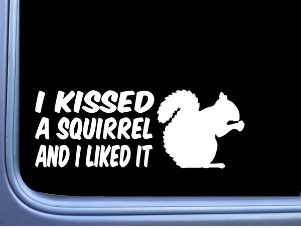 I Kissed a Squirrel Decal M126 8 Inch Sticker car laptop feeder treats love