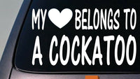 My heart belongs to a Cockatoo sticker decal *D946*