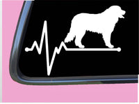 Bernese Mountain Dog Lifeline TP 245 vinyl 8" Decal Sticker bernie