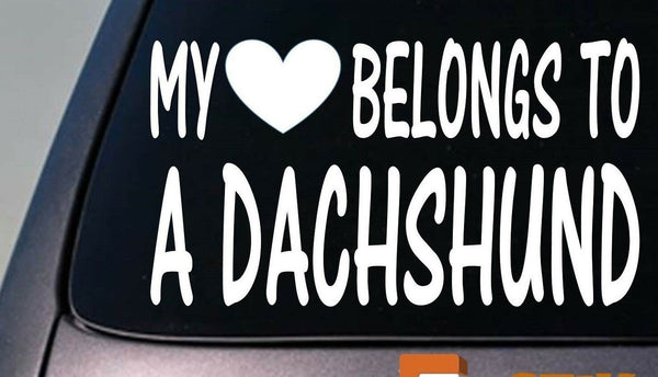 My heart belongs to a Dachshund sticker decal *D975*