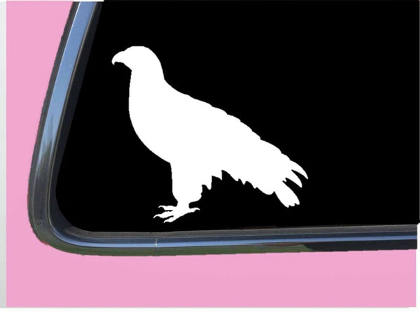 Falcon Plain TP 623 Sticker 6" Decal falconry hawk birds of prey equipment