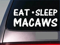 Eat Sleep Macaws Sticker *G936* 8" vinyl macaw parrot african grey birdcage toys