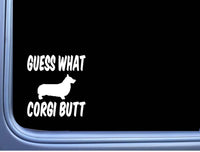 Guess What Corgi Butt M360 6 inch Sticker Decal Dog pembroke