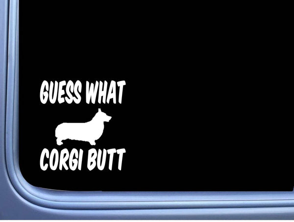 Guess What Corgi Butt M360 6 inch Sticker Decal Dog pembroke