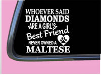 Maltese Diamonds TP 500 Sticker 6" Decal rescue dog brush toy shirt