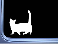 Munchkin Cat Plain M353 6 inch Sticker Decal kitten litterbox catnip