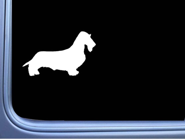 Wirehaired Dachshund J815 8 inch Sticker dachshund dog decal