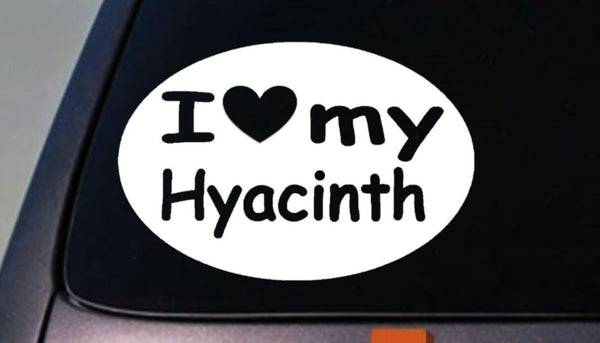 i love my HYACINTH MACAW parrot  STICKER bird macaw TRUCK WINDOW STICKER 6"