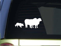 Border Collie herding Sheep Sitcker *I916* 6 inch decal