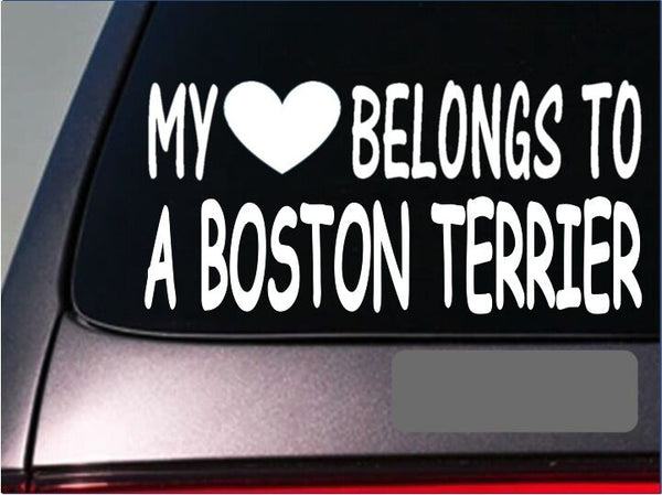 Boston Terrier My heart belongs Sticker *G481* 8" Vinyl Decal dog training dogs