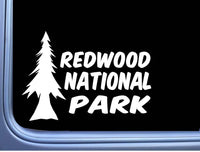 Redwood National Park M383 8 inch Sticker Decal forest california