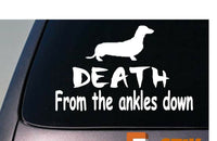 Dachshund DEATH from the ankles down 6"  decal JDM TURBO low import *A003*