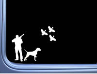 Quail Hunter English Pointer J870 8 inch Sticker dog Decal