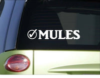 Mules Check *I044* 8" Sticker decal horseback saddle horseshoe
