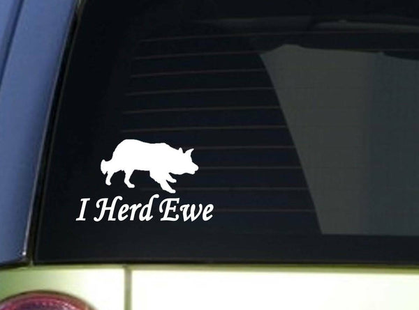 I herd Ewe Border Collie Sitcker *I915* 6x6 inch decal